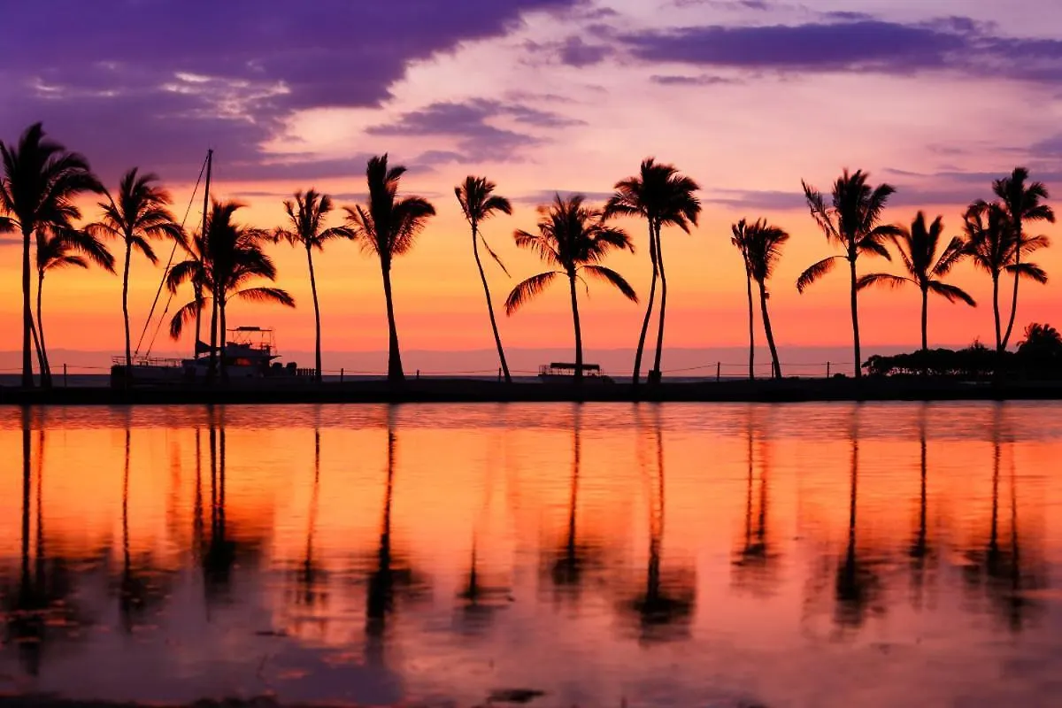 Renovated With City View At Aqua Palms Waikiki Honolulu